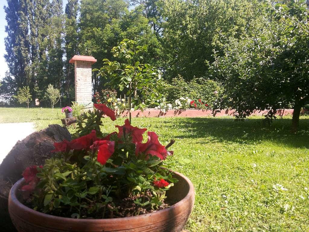Alloggio Agrituristico Dodici-Apostoli Casumaro Extérieur photo